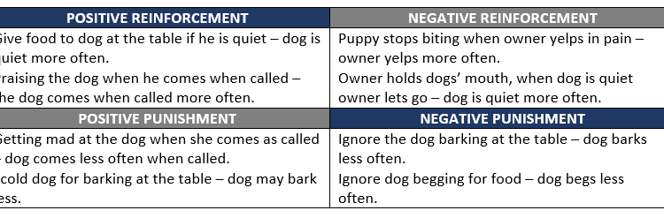 Psychology Psychology