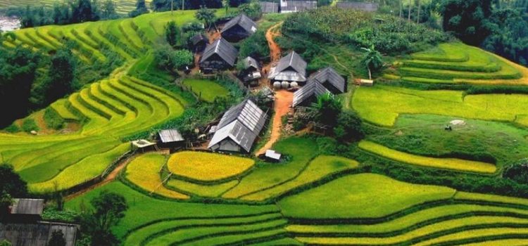 Đại lý du lịch HelloVietTravel liên tục được các tín đồ thích du ngoạn nhắc tới Đại lý du lịch HelloVietTravel liên tục được các tín đồ thích du ngoạn nhắc tới