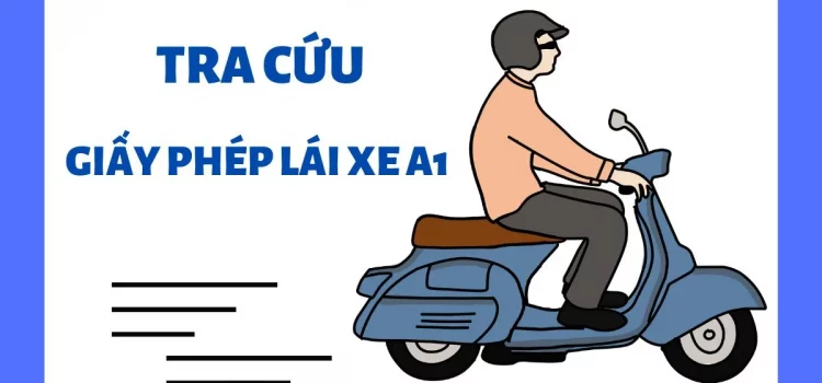 Tra cứu giấy phép lái xe A1